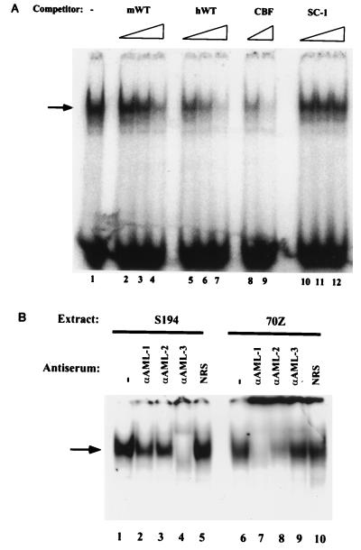 FIG. 8