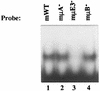 FIG. 7