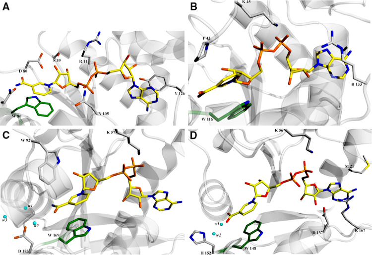 Fig. 4