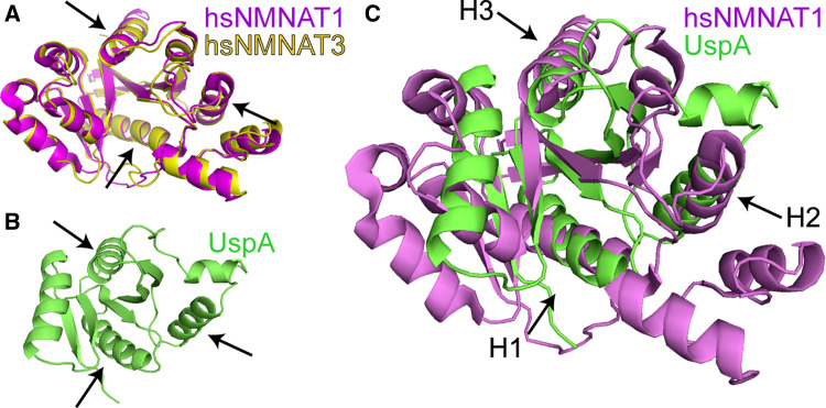 Fig. 6