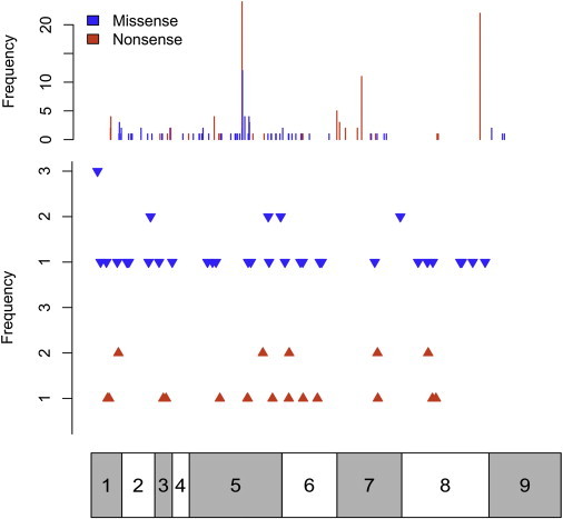 Figure 1