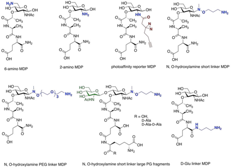 Figure 4: