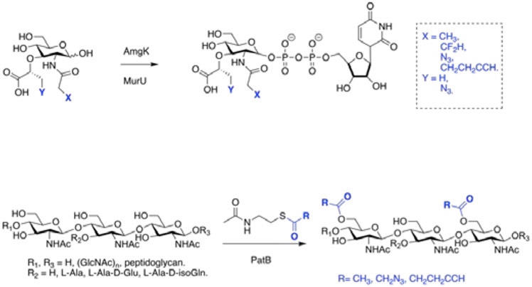 Figure 5: