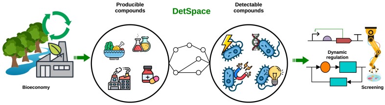 Graphical Abstract