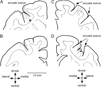 Figure 11.