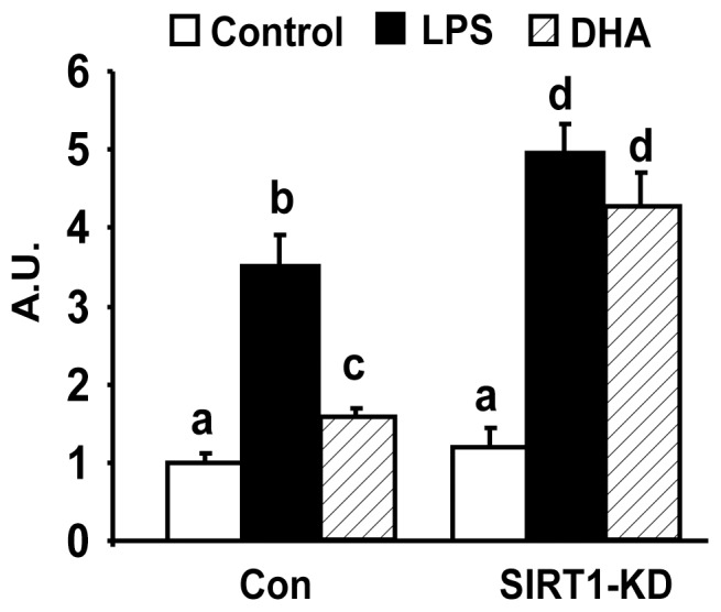 Figure 5