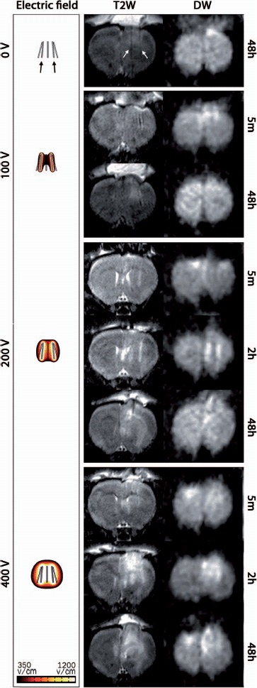 Figure 5.