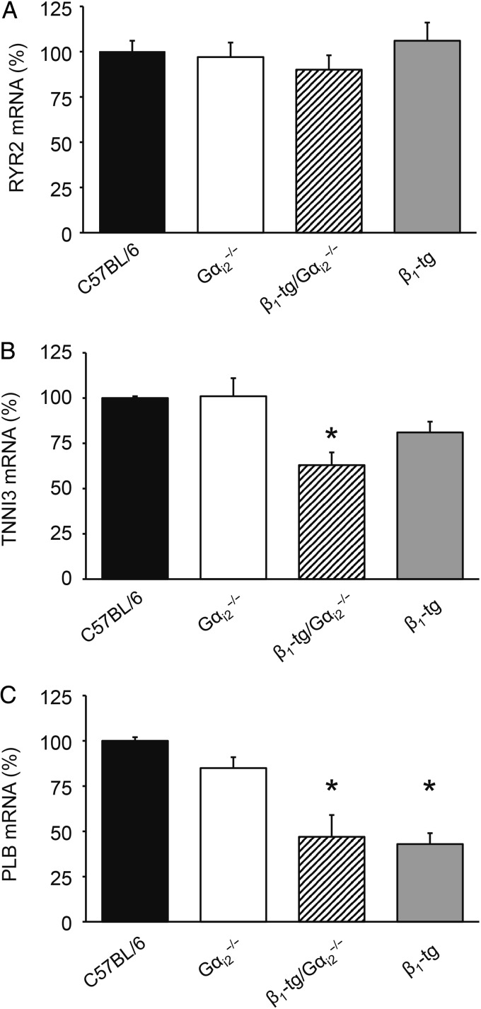 Figure 7