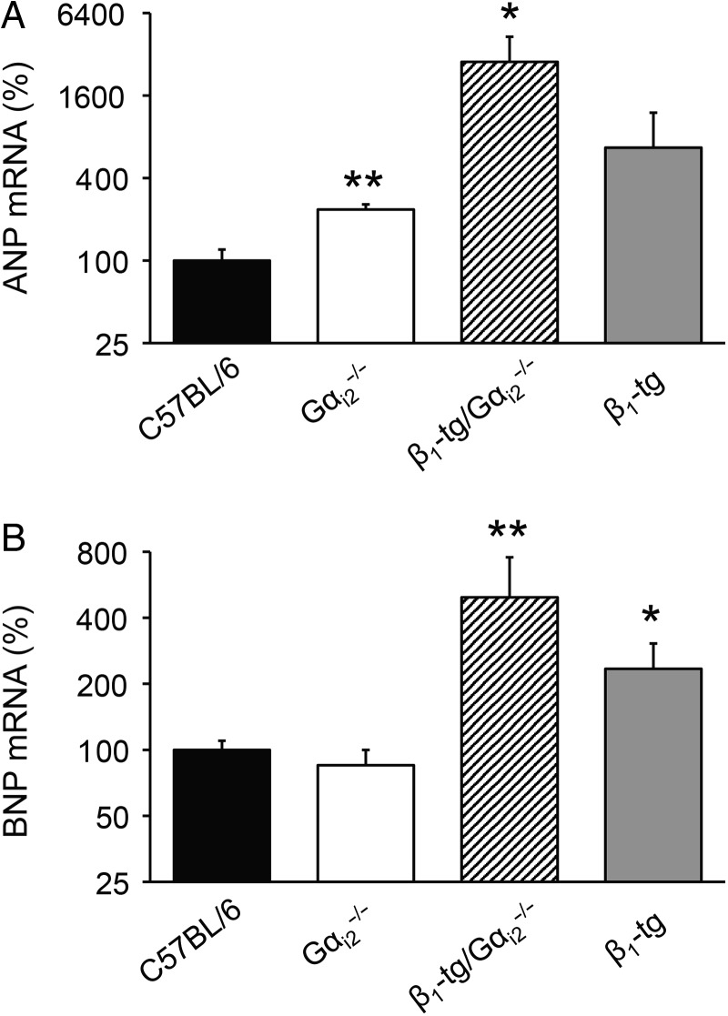 Figure 6