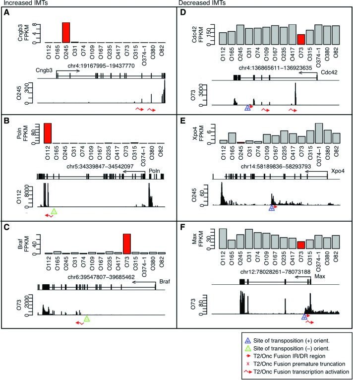 Figure 6.