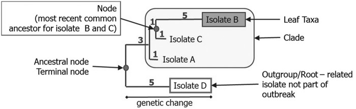 FIG. 2.