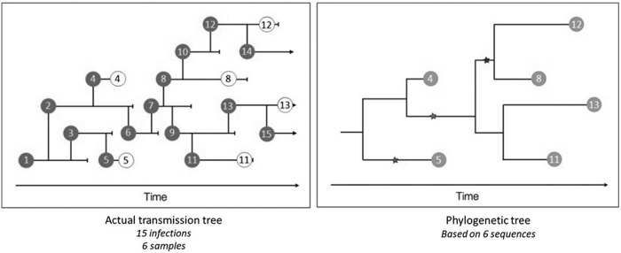 FIG. 1.