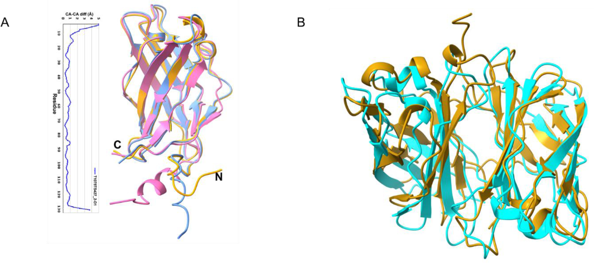 FIGURE 11