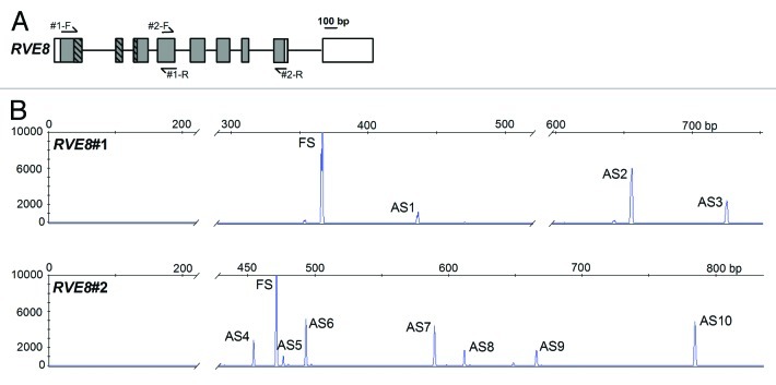 graphic file with name psb-7-1219-g1.jpg