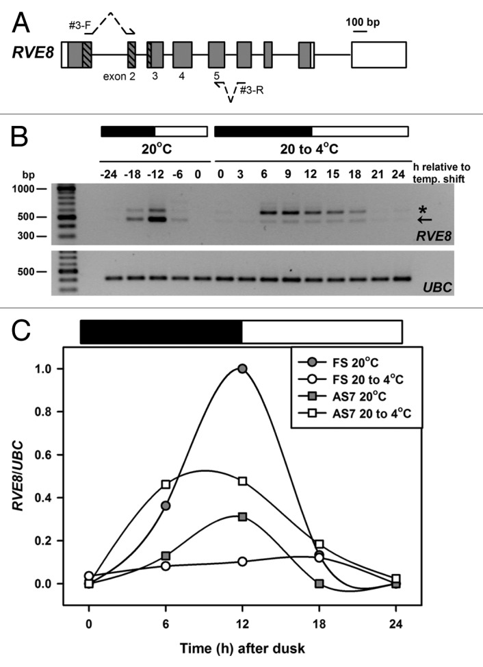 graphic file with name psb-7-1219-g2.jpg