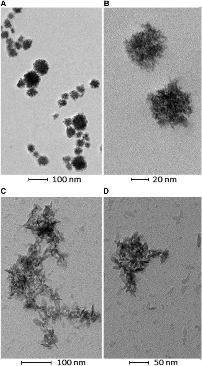 Figure 5