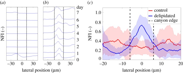 Figure 7.