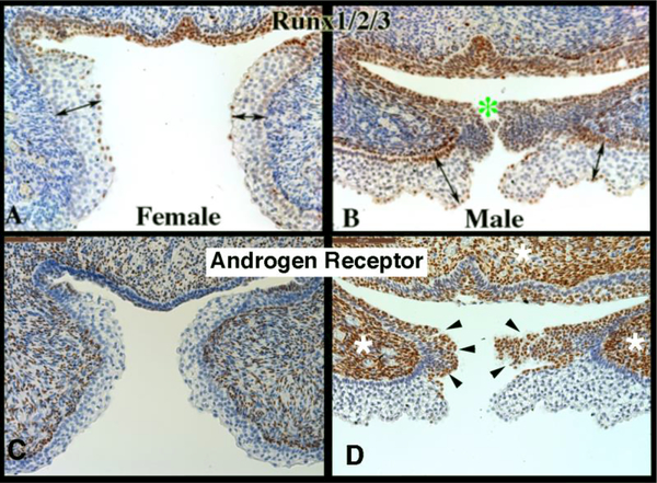 Figure 12.