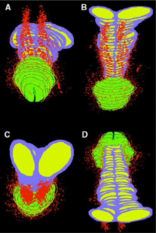 Figure 9.