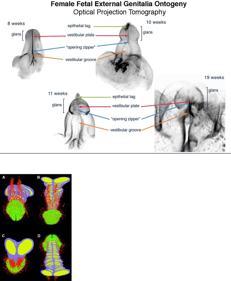 Figure 5: