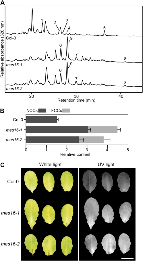 Figure 4.