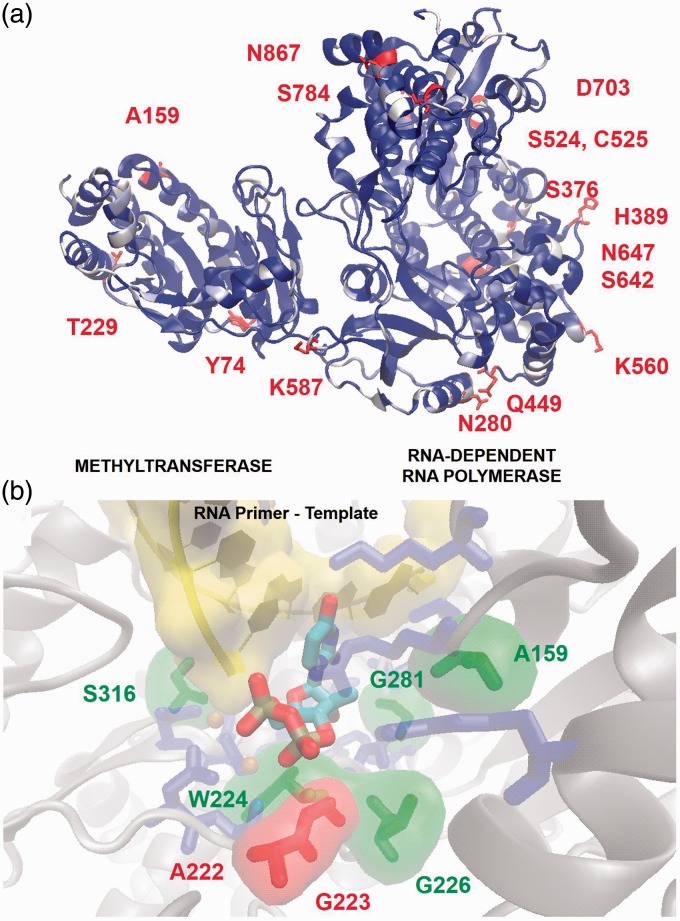 Figure 5.