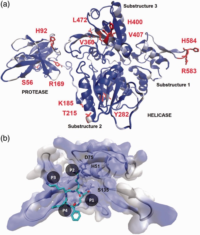 Figure 4.