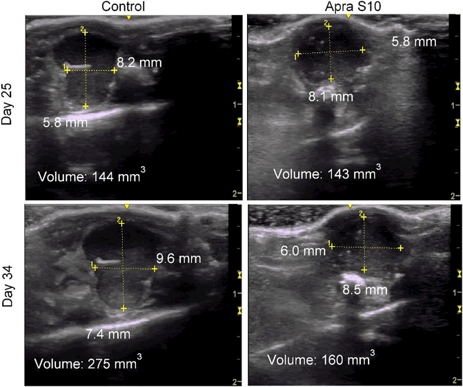 Fig. 6