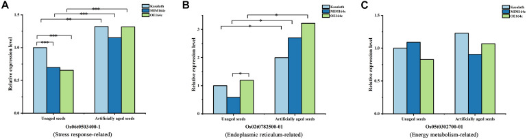 FIGURE 14