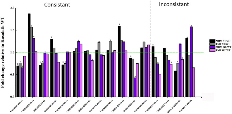 FIGURE 13