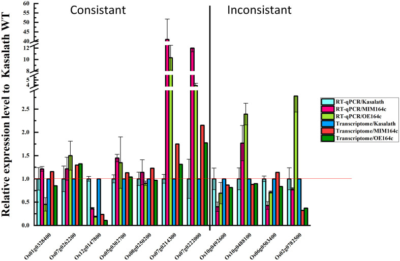 FIGURE 11