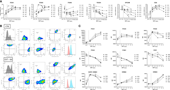 Figure 4