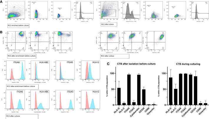 Figure 2