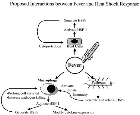 Fig 3.