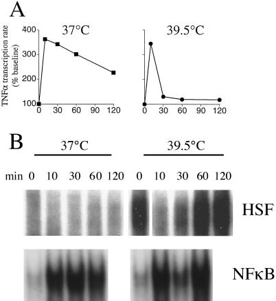 Fig 2.