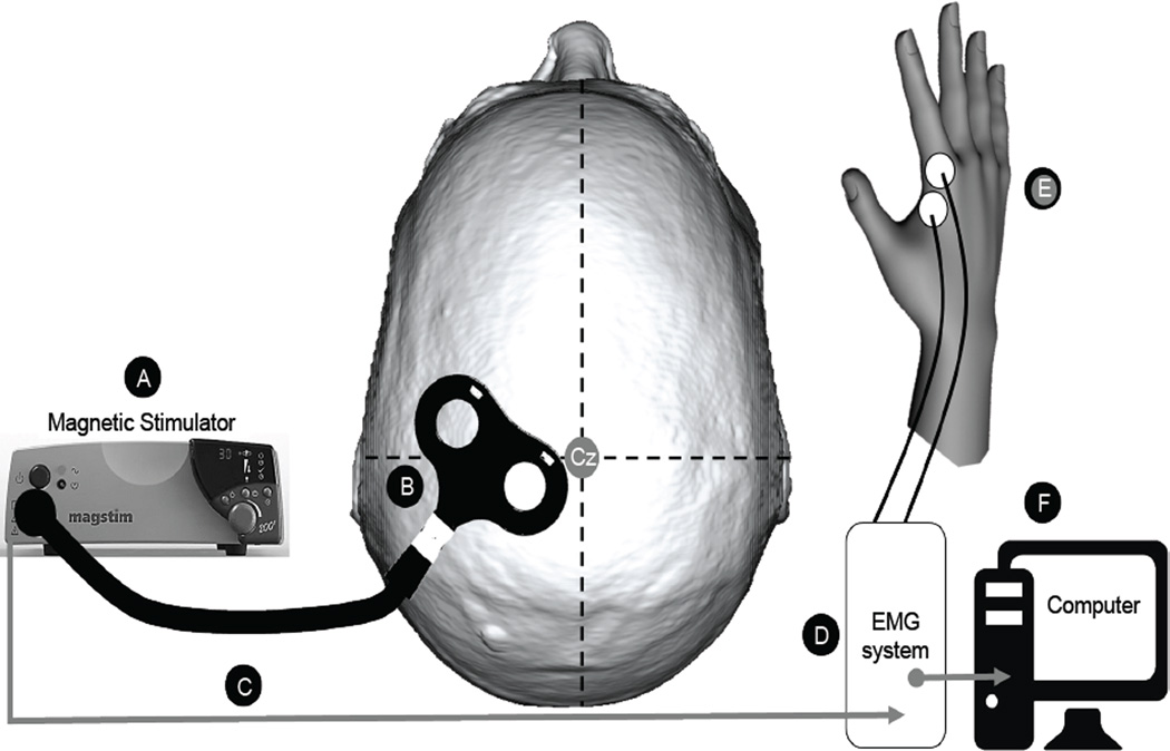 Figure 1