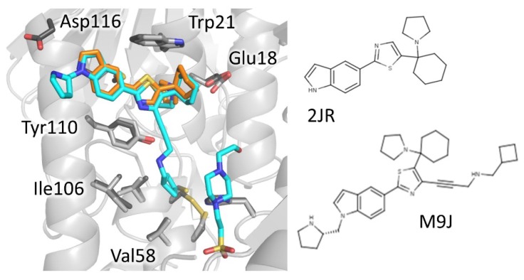 Figure 6