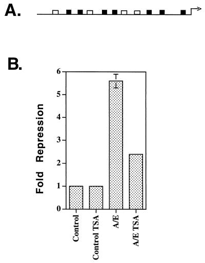 FIG. 11