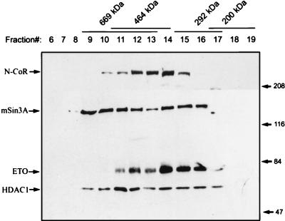 FIG. 7