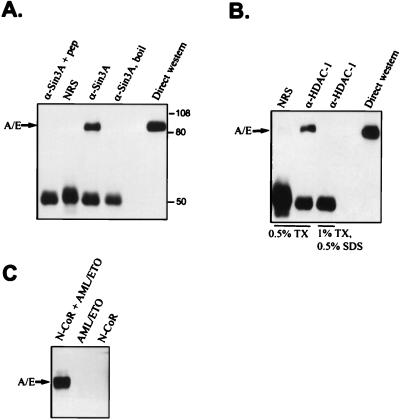 FIG. 8