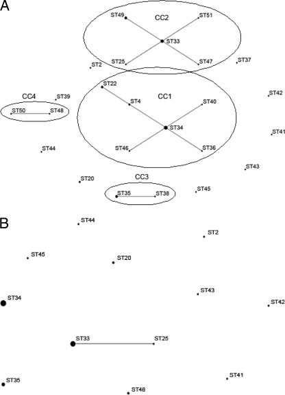 FIG. 2.