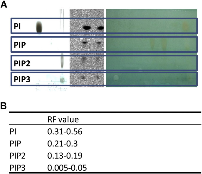 Supplementary Fig. 1