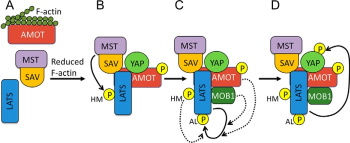 Figure 6.