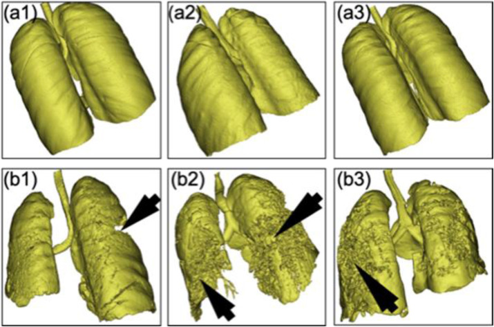 Fig. 16