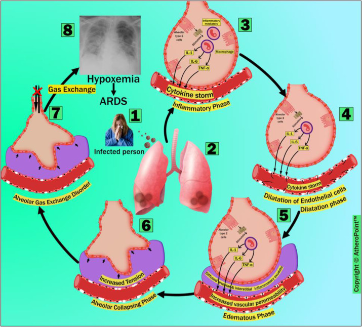 Fig. 4