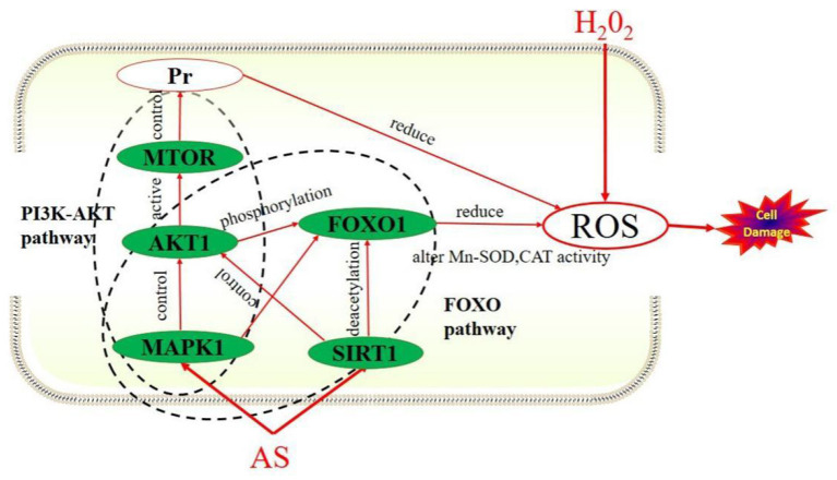 Figure 10