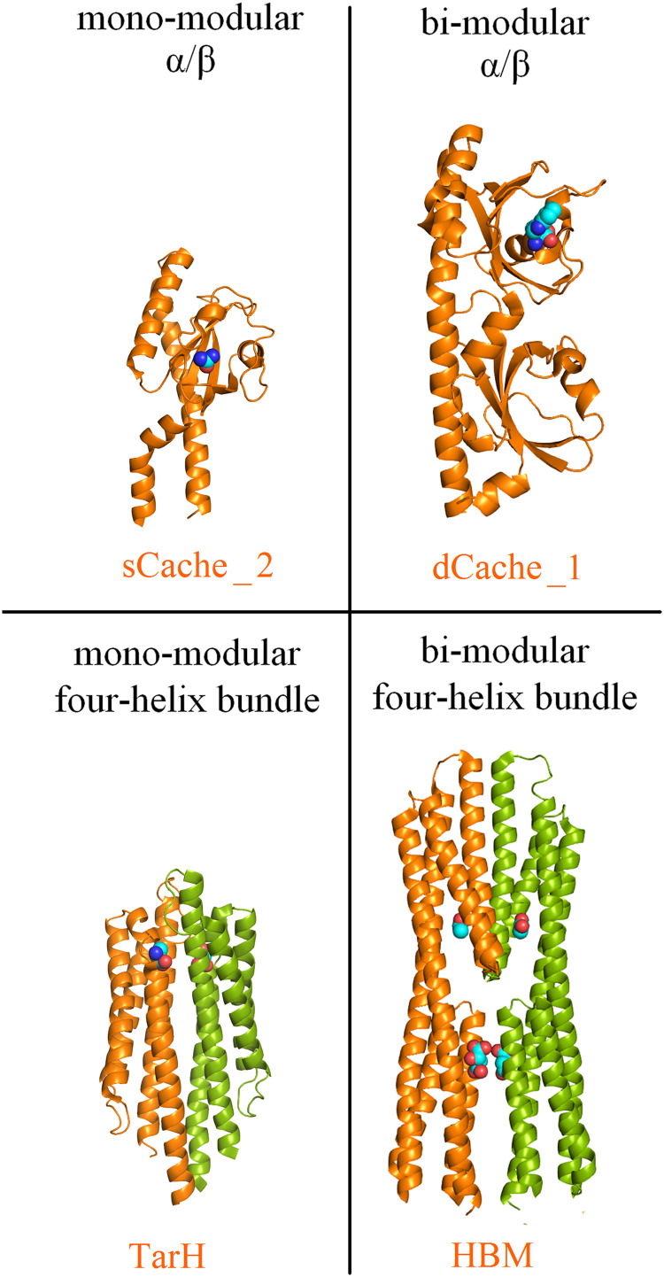 FIG 1