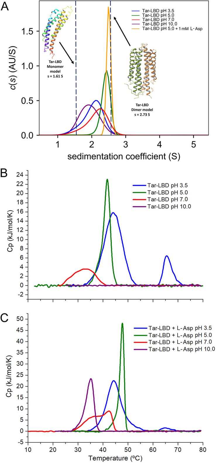 FIG 5