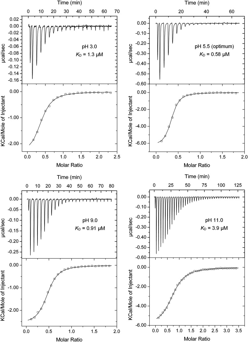 FIG 2