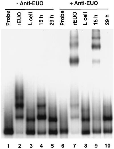 FIG. 7